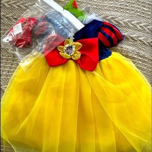 Snow White Costume